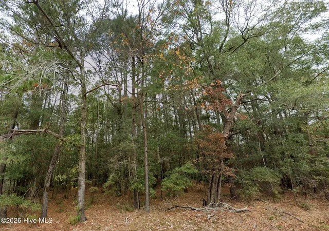 Homes for sale in Willard, NC | 0 Shiloh Rd, Willard, NC 28478 | MLS# 100577828
