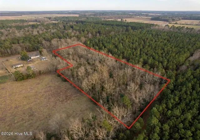 Photo 2 of Land for sale at 0 Shiloh Rd, Willard, NC 28478 | MLS# 100577828 | Listing updated on 2026-09-04