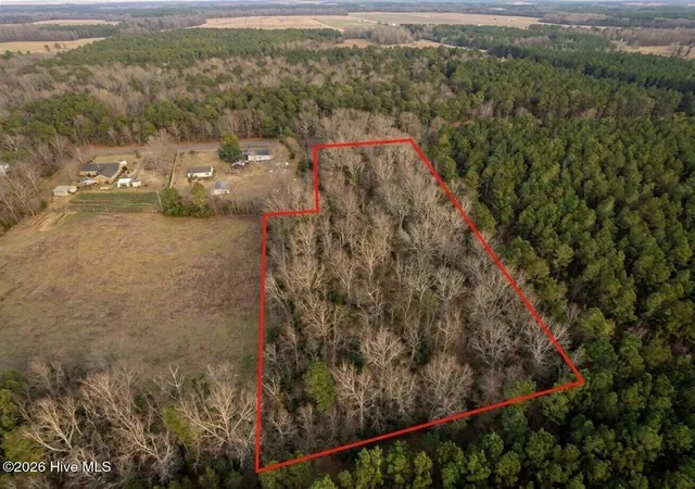 Photo 3 of Land for sale at 0 Shiloh Rd, Willard, NC 28478 | MLS# 100577828 | Listing updated on 2026-09-04