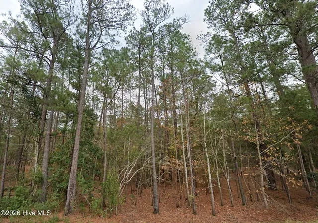 Homes for sale in Willard, NC | 0 Shiloh Rd, Willard, NC 28478 | MLS# 100577828