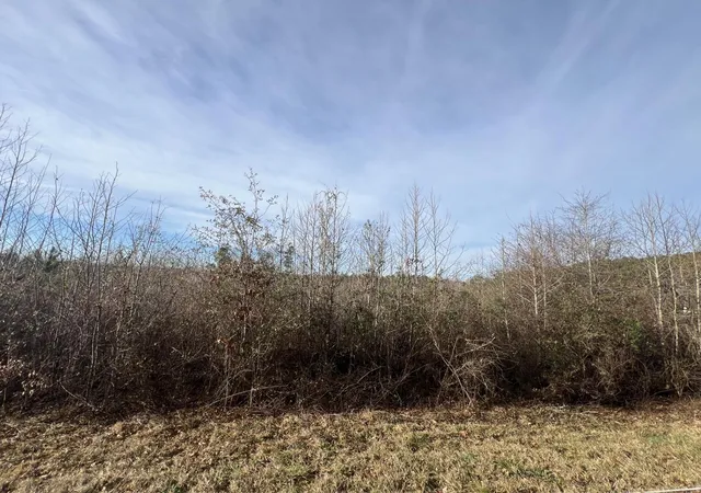 1st image of Lot2 Hephzibah Church Rd, Lincolnton, GA 30817 | MLS# 98212197