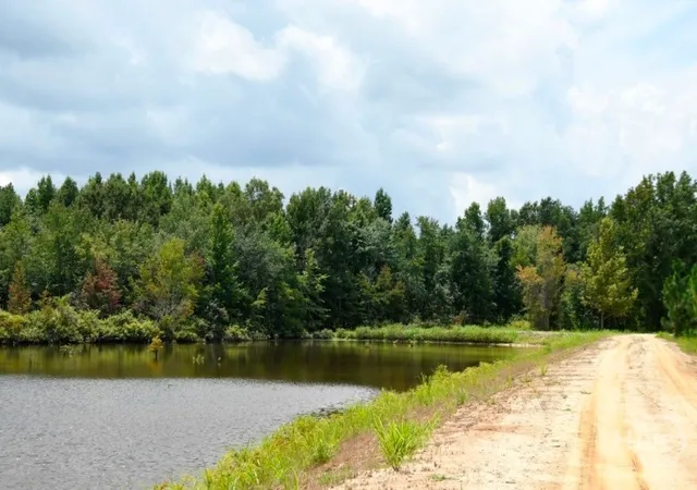 Photo 3 of Land for sale at (Undisclosed), Waynesboro, GA 30830 | MLS# SA362387 | Listing updated on 2026-08-10