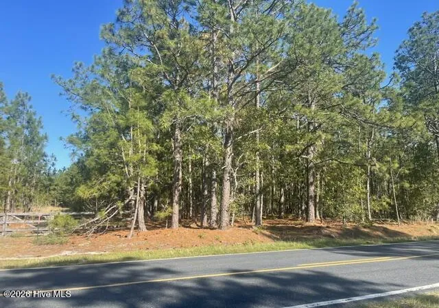 Photo 1 of Land for sale at 1035 Flowers Rd, Jackson Springs, NC 27281 | MLS# 100589998 | Listing updated on 2026-07-18