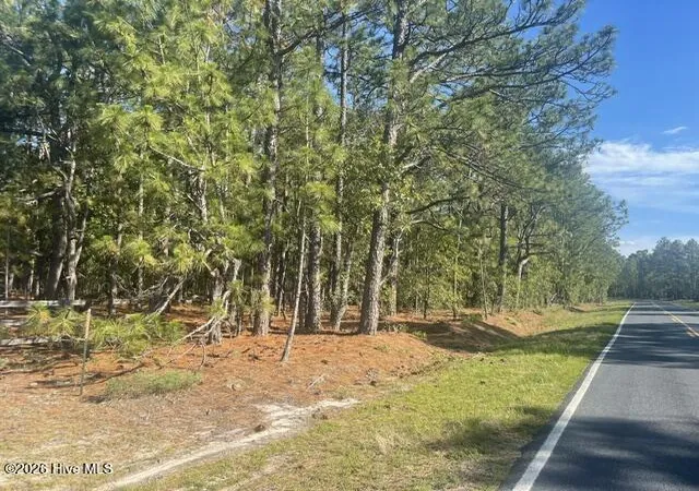 Photo 3 of Land for sale at 1035 Flowers Rd, Jackson Springs, NC 27281 | MLS# 100589998 | Listing updated on 2026-07-18