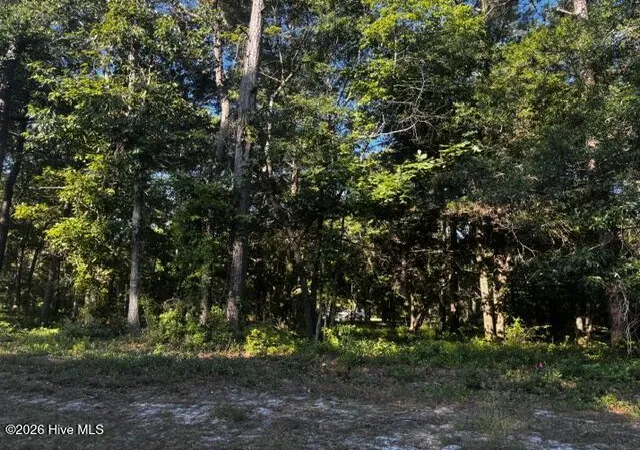 Photo 1 of Land for sale at 2408 Zion Hl Rd Se, Bolivia, NC 28422 | MLS# 100583480 | Listing updated on 2026-09-06