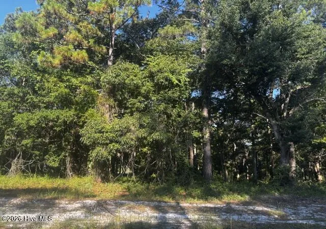 Photo 3 of Land for sale at 2408 Zion Hl Rd Se, Bolivia, NC 28422 | MLS# 100583480 | Listing updated on 2026-09-06