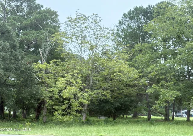 Photo 3 of Land for sale at 917 Bricklanding Rd Sw, Shallotte, NC 28470 | MLS# 100527480 | Listing updated on 2026-08-02