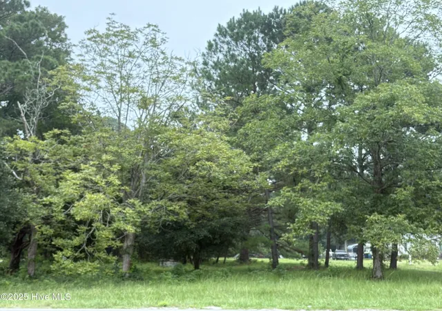 Photo 4 of House for sale at 917 Bricklanding Rd Sw, Shallotte, NC 28470 | MLS# 100527480 | Listing updated on 2026-08-02