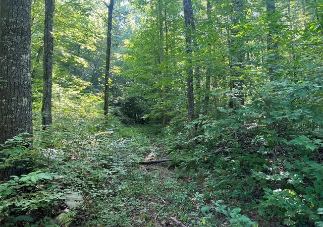 Photo 4 of Land for sale at 00 Rj Mountain View Dr, Murphy, NC 28906 | MLS# 98524312 | Listing updated on 2026-08-11