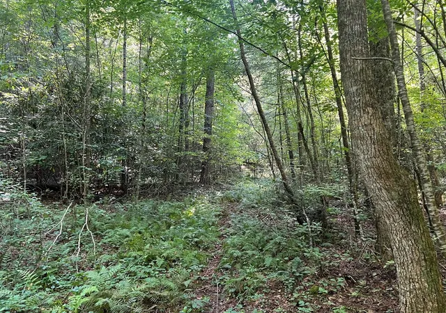 Photo 5 of Land for sale at 00 Rj Mountain View Dr, Murphy, NC 28906 | MLS# 98524312 | Listing updated on 2026-08-11