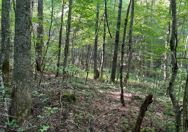 Photo 6 of Land for sale at 00 Rj Mountain View Dr, Murphy, NC 28906 | MLS# 98524312 | Listing updated on 2026-08-11