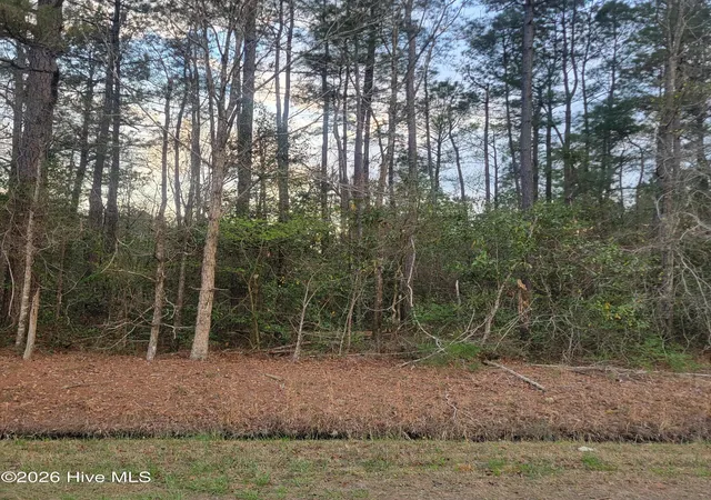 1st image of Tract 8 Fennell Town Rd, Rocky Point, NC 28457 | MLS# 100562210