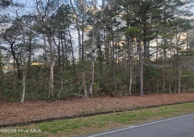 2nd image of Tract 8 Fennell Town Rd, Rocky Point, NC 28457 | MLS# 100562210