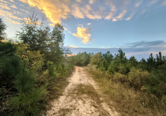 Photo 3 of Land for sale at 2427 B Wire Rd, Aiken, SC None | MLS# 98224998 | Listing updated on 2026-08-18