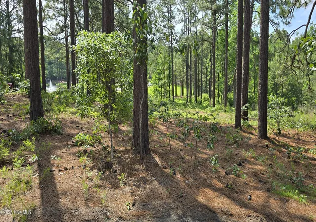 Homes for sale in Seven Lakes, NC | 101 Owens Cir, Seven Lakes, NC 27376 | MLS# 100580261