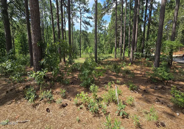 Homes for sale in Seven Lakes, NC | 101 Owens Cir, Seven Lakes, NC 27376 | MLS# 100580261