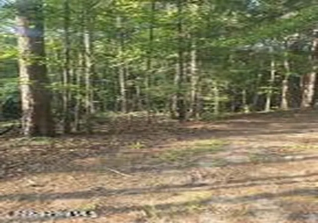 Photo 1 of Land for sale at 15 B1 Southwind Dr, Mc Cormick, SC 29835 | MLS# 100590421 | Listing updated on 2026-07-21