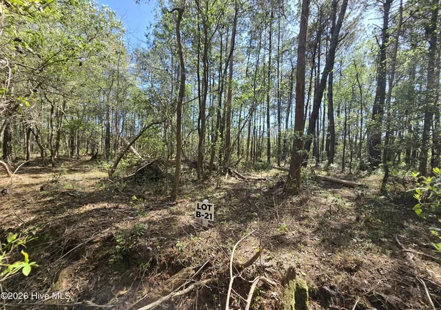 3rd image of Lot B-21 Renee Dr, Hampstead, NC 28443 | MLS# 100567156
