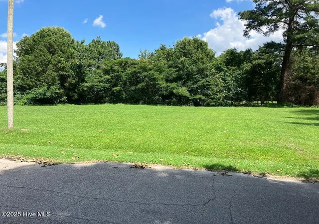 Photo 3 of Land for sale at 0 Pitt St, Grimesland, NC 27837 | MLS# 100515758 | Listing updated on 2026-09-02