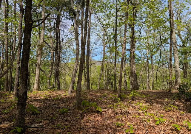 Photo 1 of Land for sale at 348 Atali Cir, Murphy, NC 28906 | MLS# 98544376 | Listing updated on 2026-07-21