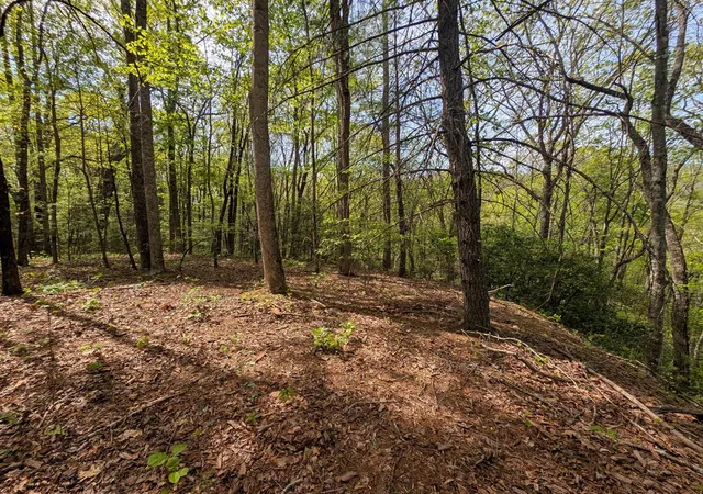 Photo 2 of Land for sale at 348 Atali Cir, Murphy, NC 28906 | MLS# 98544376 | Listing updated on 2026-07-21