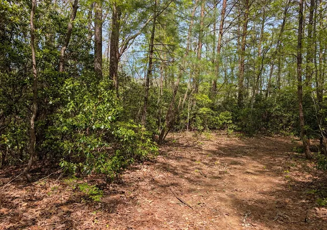 Photo 3 of Land for sale at 348 Atali Cir, Murphy, NC 28906 | MLS# 98544376 | Listing updated on 2026-07-21