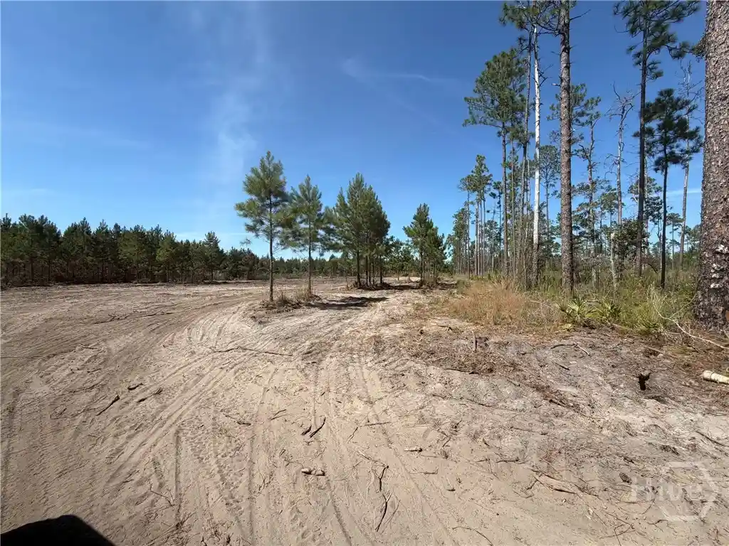 Photo 1 of Land for sale at 00 Old Dixie Hwy, Springfield, GA 31329 | MLS# SA355439 | Listing updated on 2026-10-06