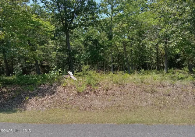 3rd image of 529 River Heights Tr, Shallotte, NC 28470 | MLS# 100583844