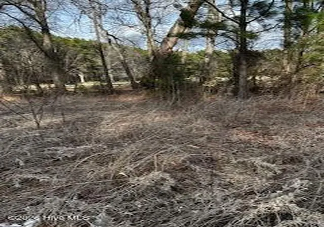 3rd image of 362 Sandy Cross Rd, Belvidere, NC 27919 | MLS# 100555853