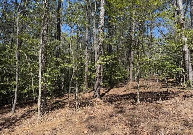Photo 3 of Land for sale at Lot 2 Lynae Ln, Murphy, NC 28906 | MLS# 98543761 | Listing updated on 2026-08-31
