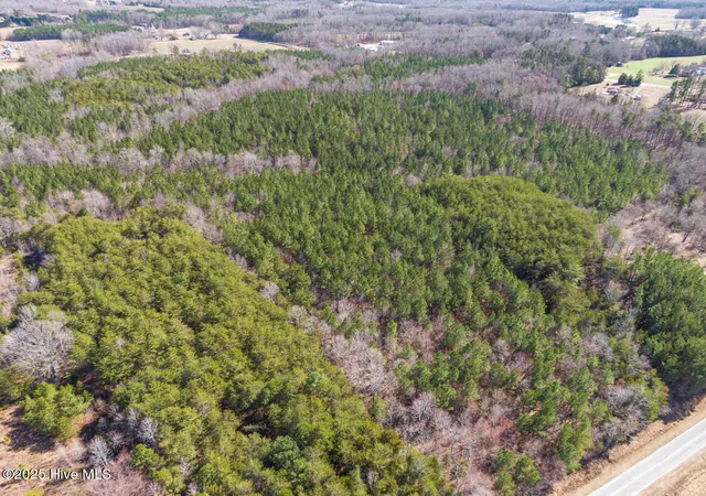 Photo 3 of Land for sale at 0 Atkins Rd, Mebane, NC 27302 | MLS# 100592361 | Listing updated on 2026-09-29