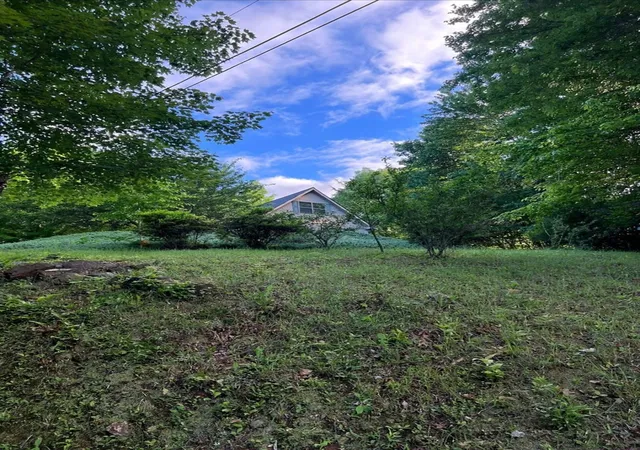 3rd image of 256 High Top Ln, Andrews, NC 28901 | MLS# 100579305