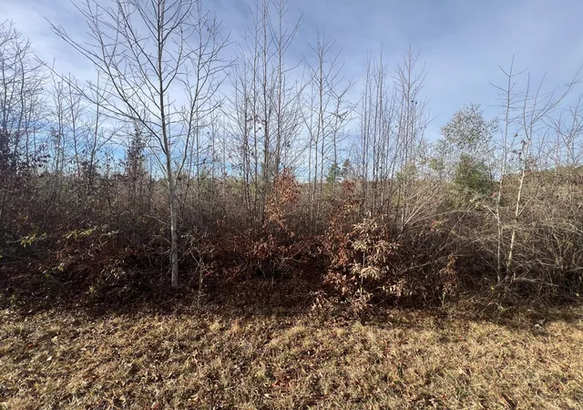 1st image of Lot5 Hephzibah Church Road, Lincolnton, GA 30817 | MLS# 98212200