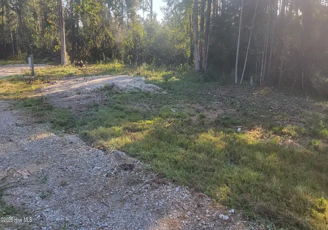 Photo 4 of Land for sale at 1123 Straits Rd, Smyrna, NC 28579 | MLS# 100588342 | Listing updated on 2026-08-29