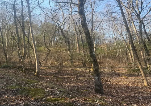 Photo 1 of Land for sale at Lot 12 Rainbow Valley Dr, Murphy, NC 28906 | MLS# 98544537 | Listing updated on 2026-07-21