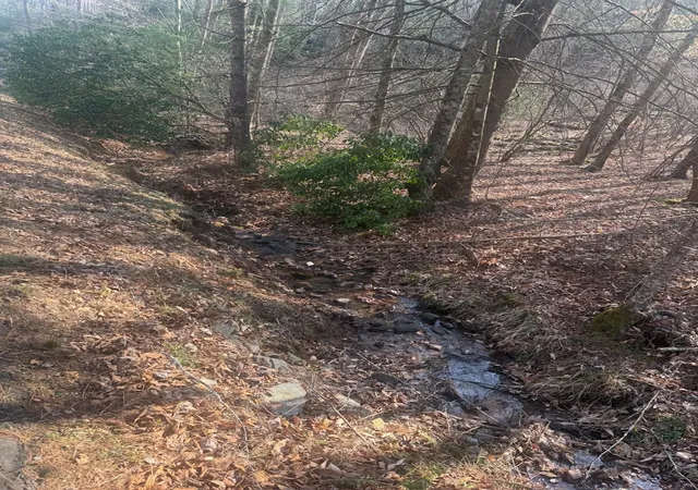 Photo 4 of Land for sale at Lot 12 Rainbow Valley Dr, Murphy, NC 28906 | MLS# 98544537 | Listing updated on 2026-07-21