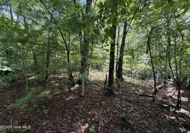 Homes for sale in Murphy, NC | 81 Roberts Rd, Murphy, NC 28906 | MLS# 100586182