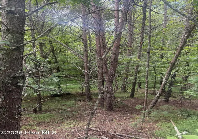 Photo 2 of Land for sale at 18 + 19 Joyce Rd, Murphy, NC 28906 | MLS# 100593991 | Listing updated on 2026-08-18