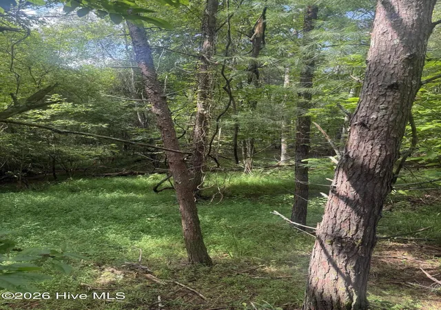Photo 4 of Land for sale at 18 + 19 Joyce Rd, Murphy, NC 28906 | MLS# 100593991 | Listing updated on 2026-08-18