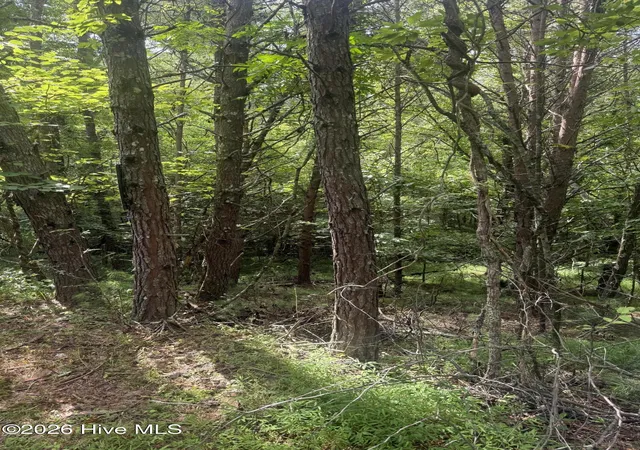 Photo 6 of Land for sale at 18 + 19 Joyce Rd, Murphy, NC 28906 | MLS# 100593991 | Listing updated on 2026-08-18