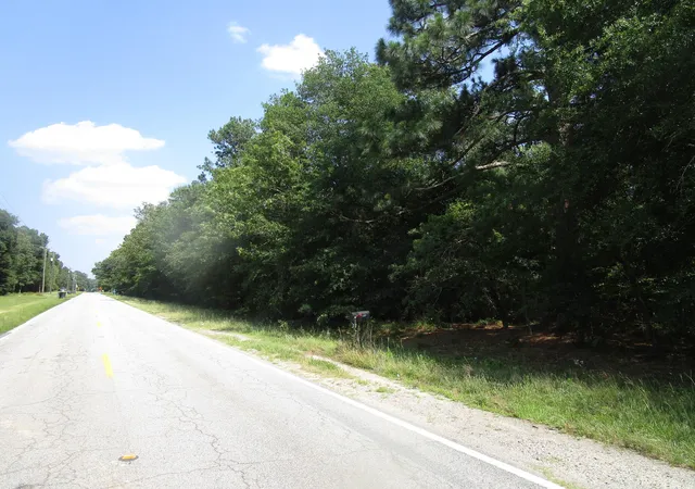 11th image of 1436 Hephzibah Mcbean Rd, Hephzibah, GA 30815 | MLS# 98212301