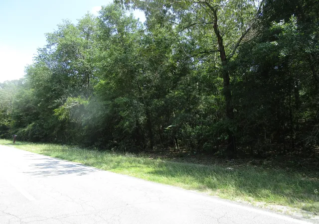 1st image of 1436 Hephzibah Mcbean Rd, Hephzibah, GA 30815 | MLS# 98212301