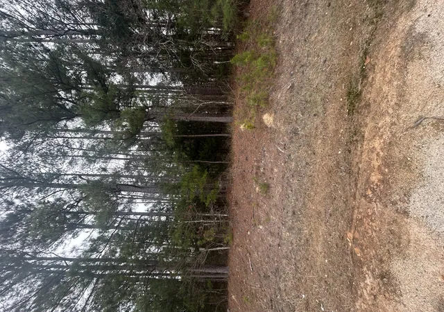 1st image of 169 Ac Hwy 220 E, Lincolnton, GA 30817 | MLS# 98254850