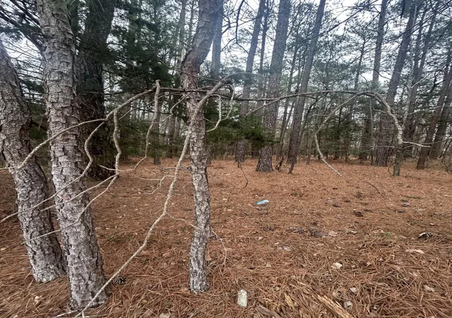 5th image of 169 Ac Hwy 220 E, Lincolnton, GA 30817 | MLS# 98254850