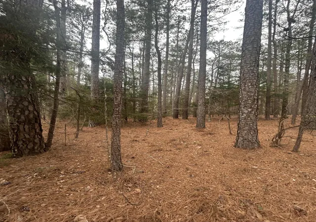 8th image of 169 Ac Hwy 220 E, Lincolnton, GA 30817 | MLS# 98254850