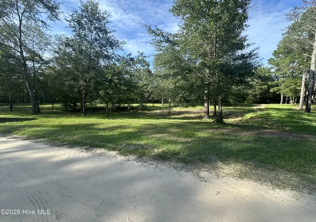 Photo 4 of Land for sale at 43 Black River Ln, Harrells, NC 28444 | MLS# 100596679 | Listing updated on 2026-08-16