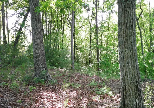Photo 3 of Land for sale at Lot 8 Fain Peak, Murphy, NC 28906 | MLS# 98544497 | Listing updated on 2026-06-23