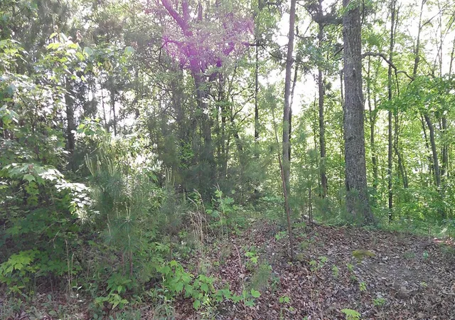Photo 4 of Land for sale at Lot 8 Fain Peak, Murphy, NC 28906 | MLS# 98544497 | Listing updated on 2026-06-23