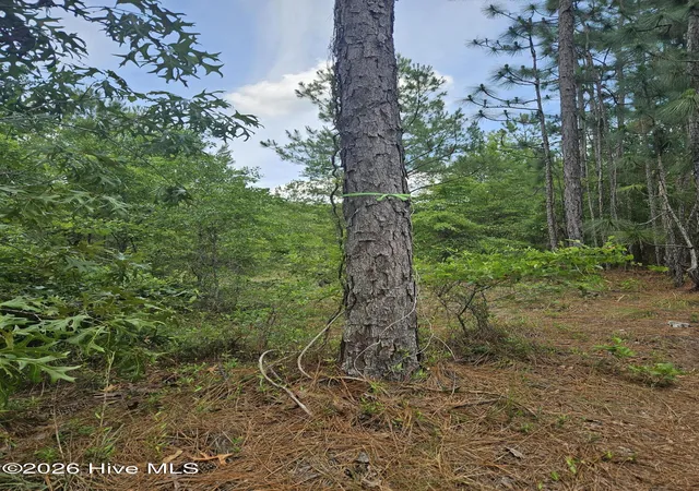 Homes for sale in Navassa, NC | 0 Phoenix Pkwy, Navassa, NC 28451 | MLS# 100587850