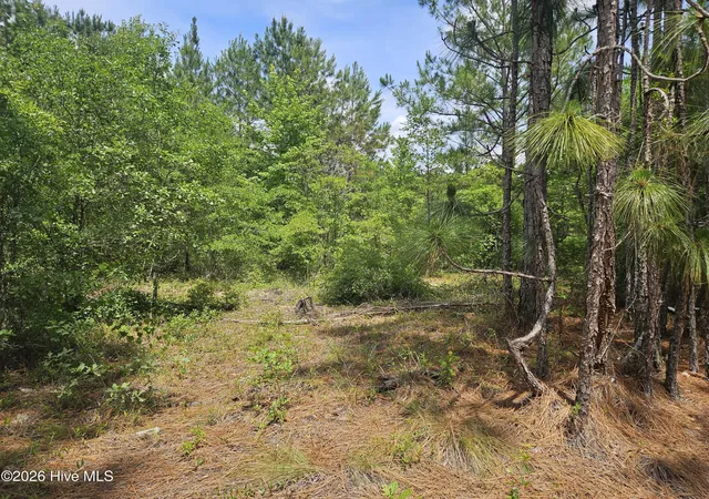 Homes for sale in Navassa, NC | 0 Phoenix Pkwy, Navassa, NC 28451 | MLS# 100587850